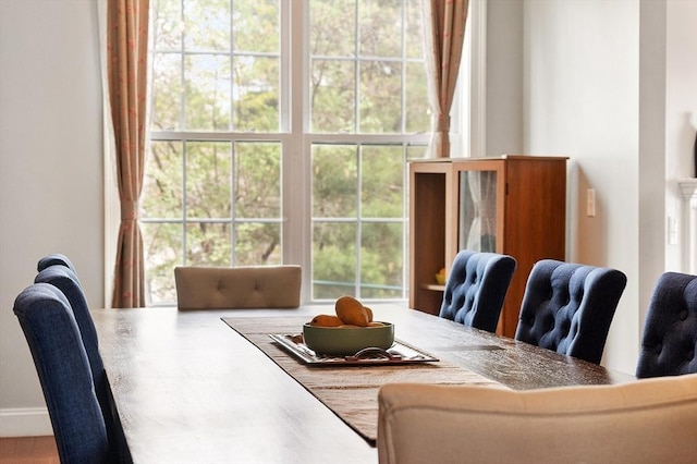 dining space featuring a healthy amount of sunlight