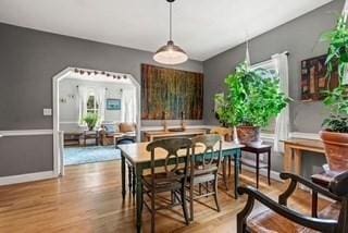 dining room with wood finished floors, baseboards, and a healthy amount of sunlight