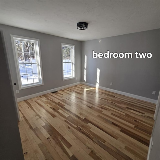 empty room with wood-type flooring