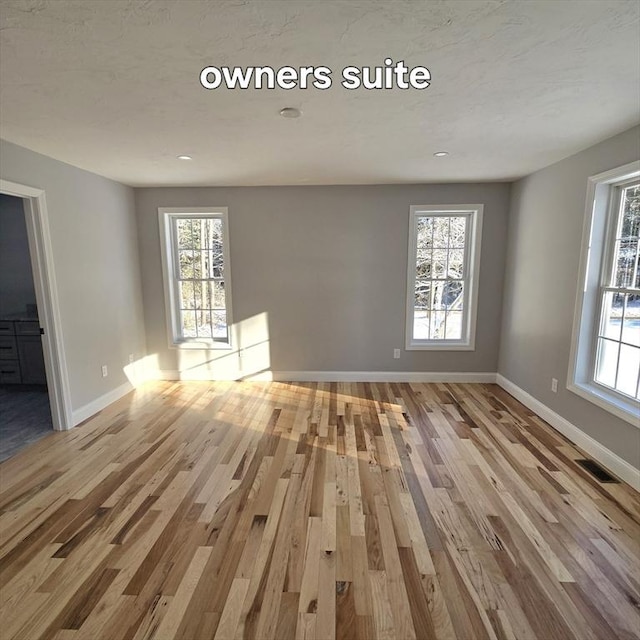 unfurnished room featuring plenty of natural light and light hardwood / wood-style flooring