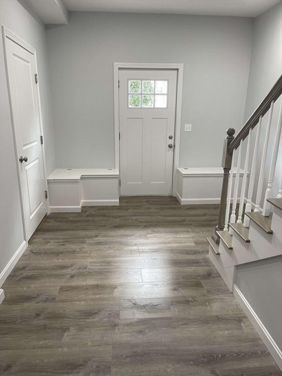 foyer featuring dark wood-type flooring