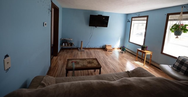 living room with baseboards and wood finished floors