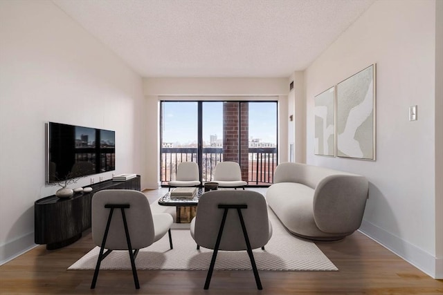 living room featuring wood finished floors, baseboards, and a textured ceiling