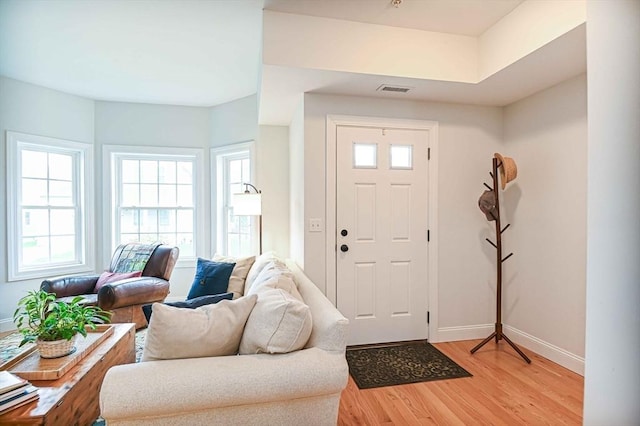 foyer entrance with light wood finished floors, baseboards, and plenty of natural light