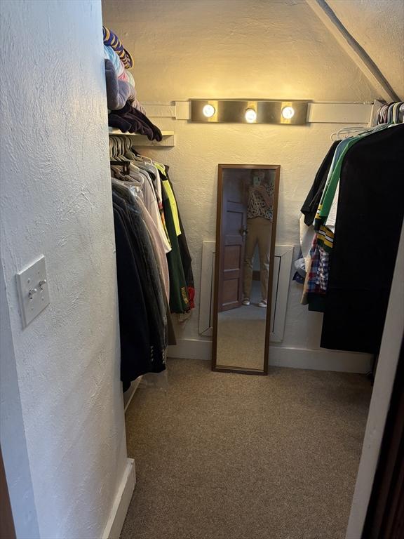 walk in closet with carpet