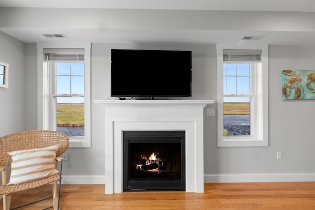 35 Liberty St, Salisbury, MA 01952 - detailed view of wood finished floors, baseboards, and a lit fireplace