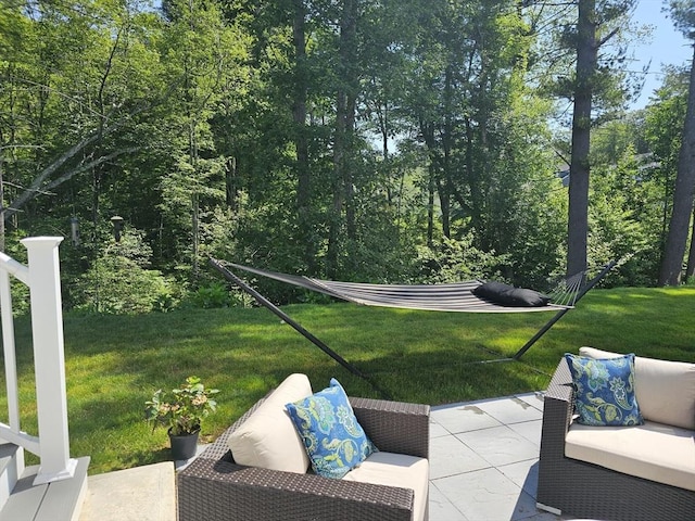 3 Panda Ct Unit 3, Milford, MA 01757 - view of patio with an outdoor hangout area