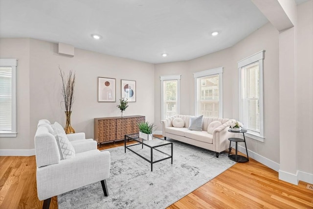 living room featuring wood-type flooring