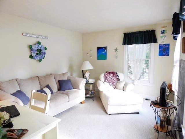 living room featuring carpet