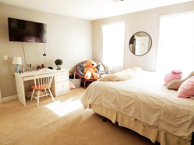 bedroom with carpet flooring