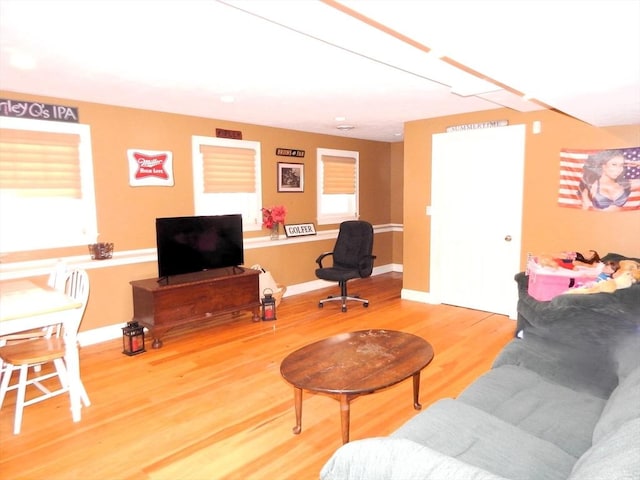 living room with wood-type flooring