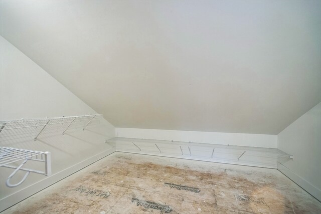 spacious closet with vaulted ceiling