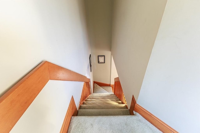 stairway with carpet floors