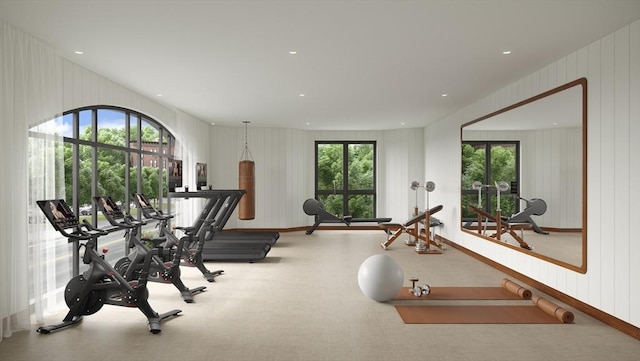 exercise area with a wealth of natural light and carpet floors