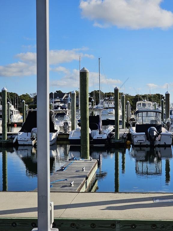 dock area with a water view