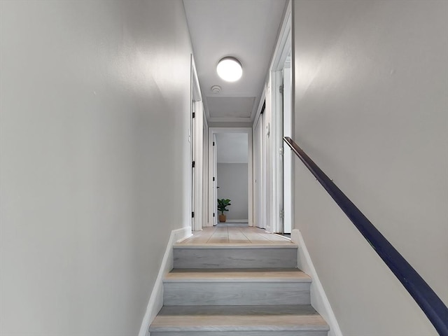 11 Great Oak Rd, Brewster, MA 02631 - stairway featuring baseboards and wood finished floors