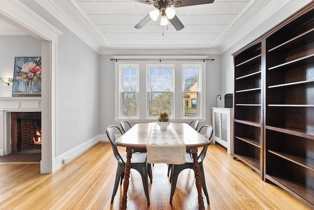 dining room with ceiling fan, a lit fireplace, baseboards, and light wood-type flooring