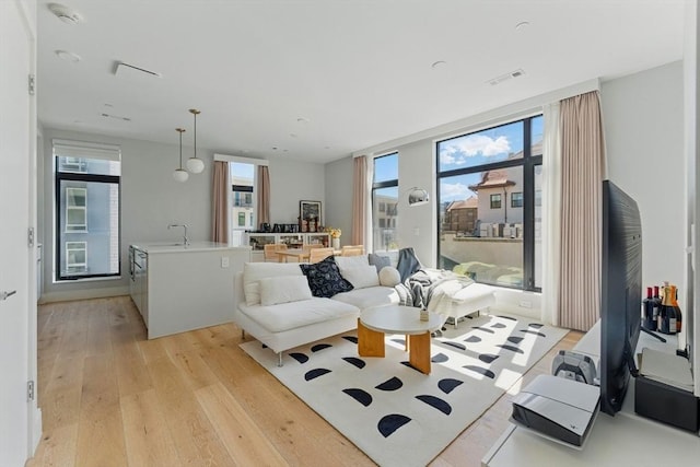 191 Washington St Unit 524, Boston, MA 02135 - living room with light wood-style floors