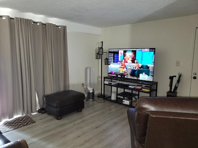 4 Post Oak Ln Unit 15, Natick, MA 01760 - living room with light wood-type flooring and a textured ceiling