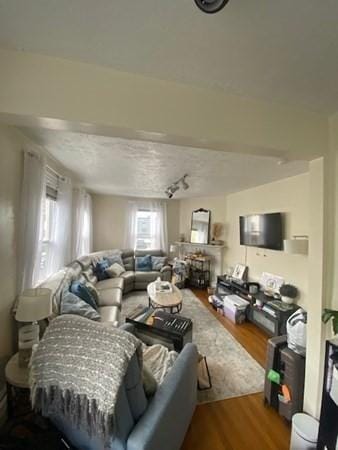 living room featuring wood finished floors