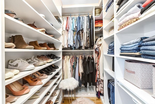 walk in closet with wood finished floors