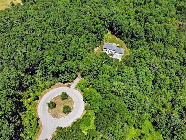 15 Stone Fence Dr, Derry, NH 03038 - aerial view of property's location with a forest