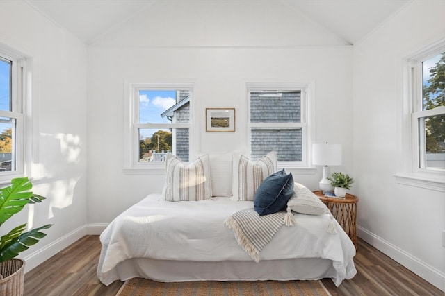 bedroom featuring dark hardwood / wood-style floors, lofted ceiling, and multiple windows