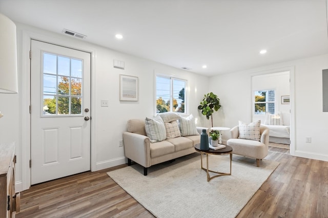 living room with hardwood / wood-style flooring and a healthy amount of sunlight