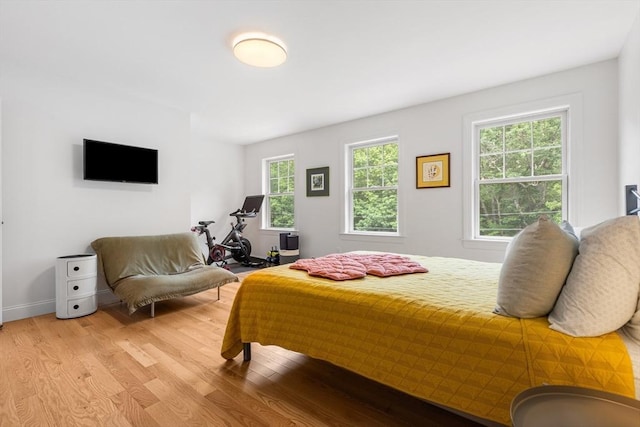 244 Prospect St, Easton, MA 02375 - bedroom featuring light wood-type flooring and baseboards