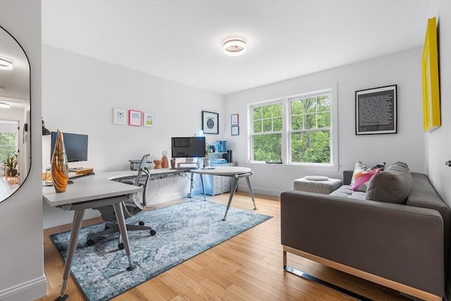 244 Prospect St, Easton, MA 02375 - office space featuring wood finished floors and baseboards
