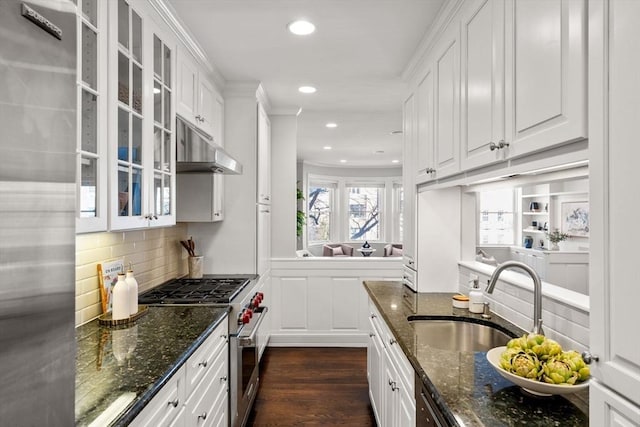 kitchen featuring a sink, dark wood-type flooring, under cabinet range hood, appliances with stainless steel finishes, and white cabinetry