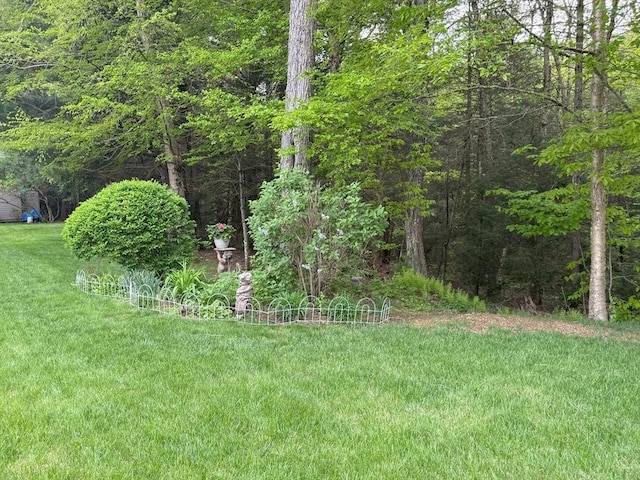 21 Deer Run, Brookfield, MA 01506 - view of green lawn with a forest view