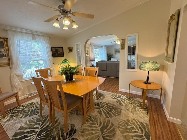 21 Deer Run, Brookfield, MA 01506 - dining room with arched walkways, wood finished floors, a ceiling fan, crown molding, and vaulted ceiling