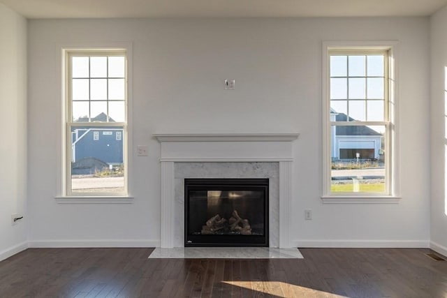 details featuring a fireplace and hardwood / wood-style flooring