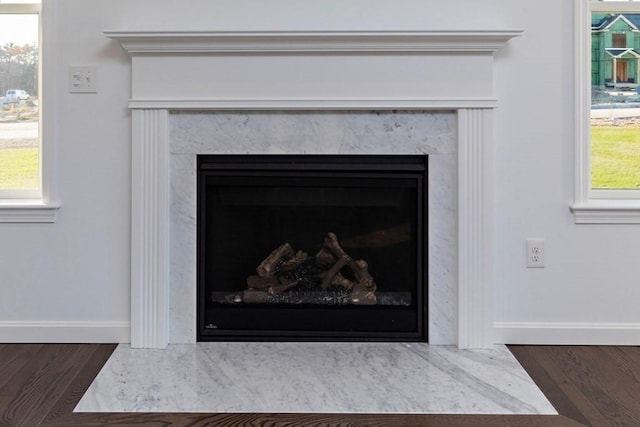 interior details featuring wood-type flooring and a premium fireplace