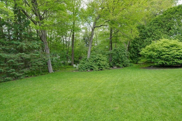view of grassy yard