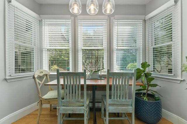 dining area with wood finished floors, a wealth of natural light, and baseboards