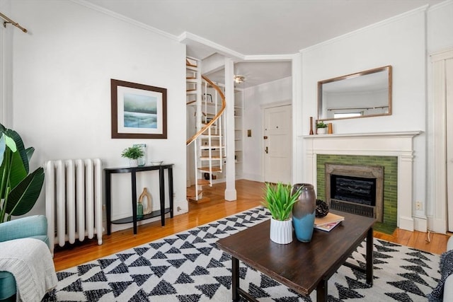 living room with a fireplace, radiator, crown molding, and wood-type flooring