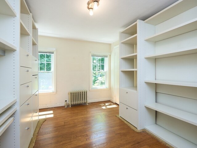 walk in closet featuring radiator and wood-type flooring