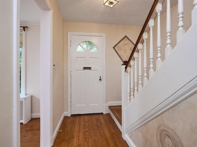 entrance foyer with dark hardwood / wood-style floors