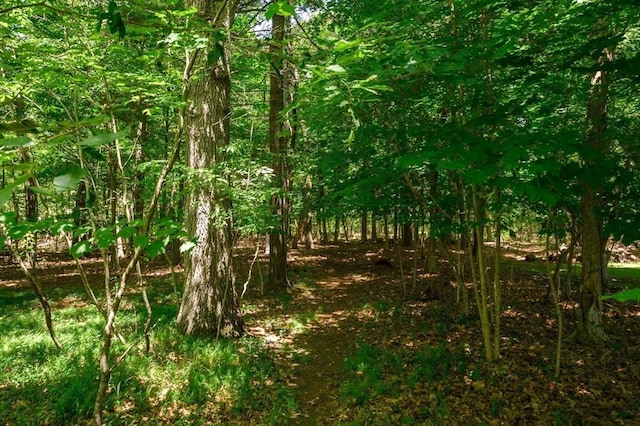 30 Huntley Rd, Hingham, MA 02043 - view of nature