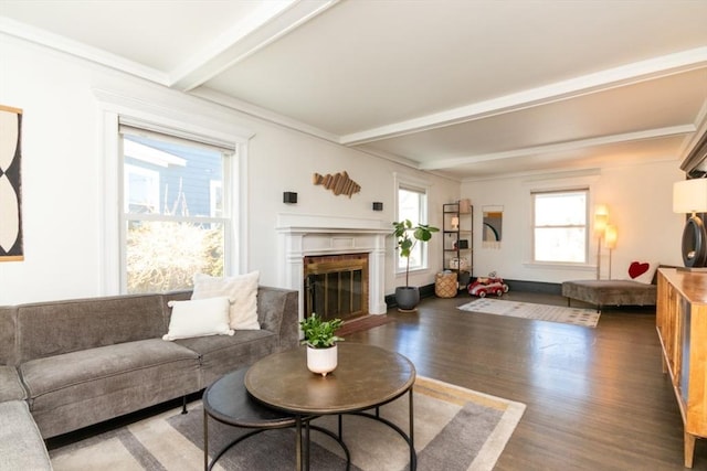 living area with a glass covered fireplace, beam ceiling, and wood finished floors