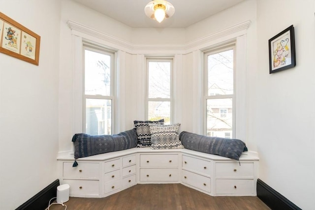 living area with dark wood-style floors