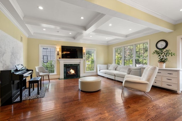 living area with a premium fireplace, beamed ceiling, plenty of natural light, and dark wood finished floors