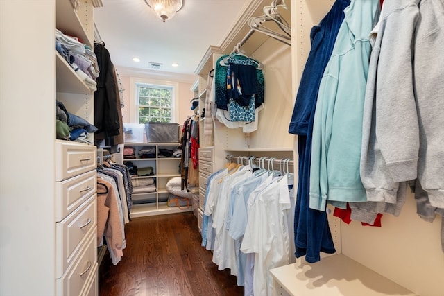 spacious closet with dark wood-type flooring