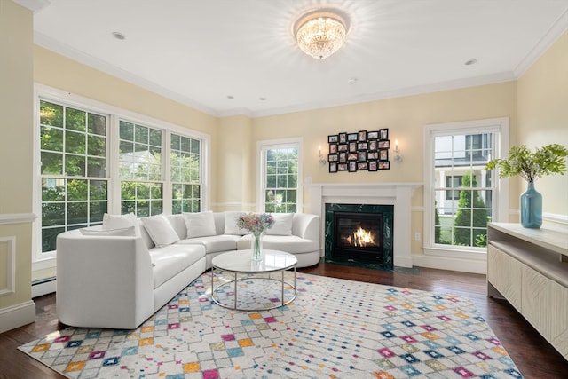 living room with a baseboard radiator, crown molding, a high end fireplace, and dark hardwood / wood-style flooring