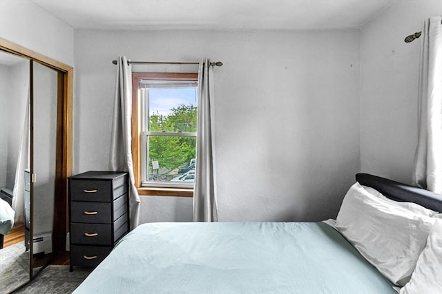 339-341 Norfolk St, Cambridge, MA 02139 - bedroom with wood finished floors and a closet
