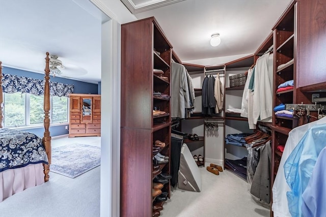 35 Dejordy Ln, Chicopee, MA 01020 - spacious closet with carpet flooring
