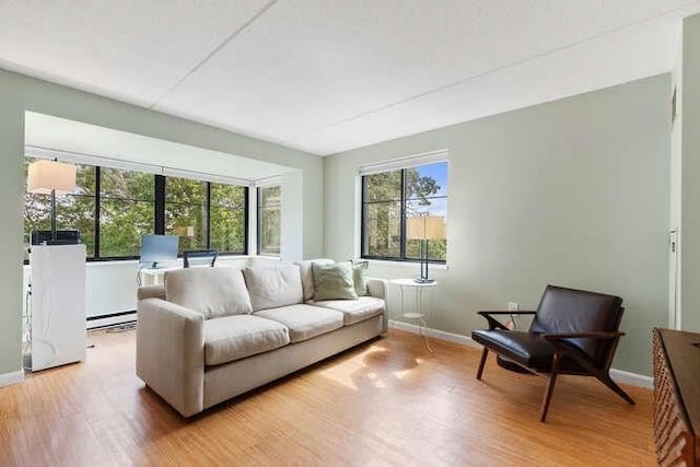 200 Ledgewood Dr Unit 604, Stoneham, MA 02180 - living area with light wood-style floors and baseboard heating