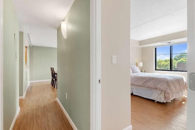 200 Ledgewood Dr Unit 604, Stoneham, MA 02180 - hallway featuring light wood finished floors and baseboards